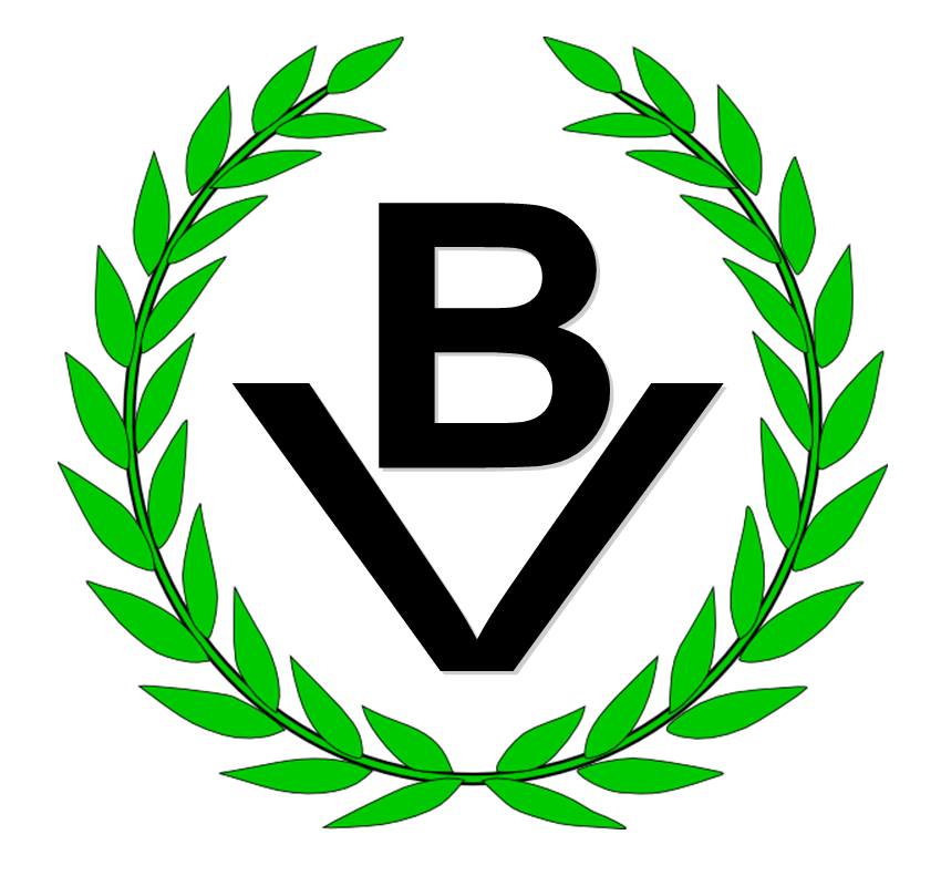 Logo Partido Bandera Vecinal